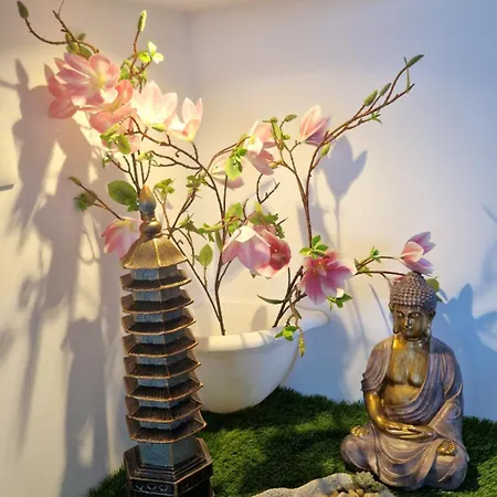 Inside The Wave A Apartment